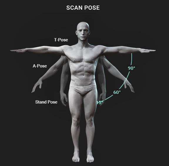 Human Body - Pose Musc Acu Ab01, 3D Model Stock Illustration - Illustration  of person, anatomic: 80329633